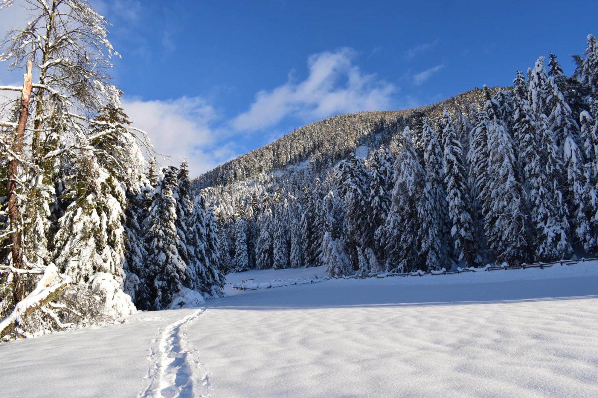 Naturhotel Miraval Perca Kültér fotó